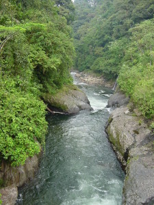 Ecuador river