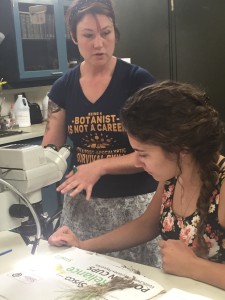 Jennifer Ackerfield assists a student in plant identification in the CSU Herbarium