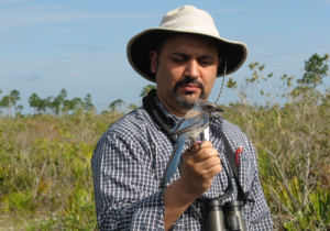 Dr. Cameron Ghalambor engaging in field research.