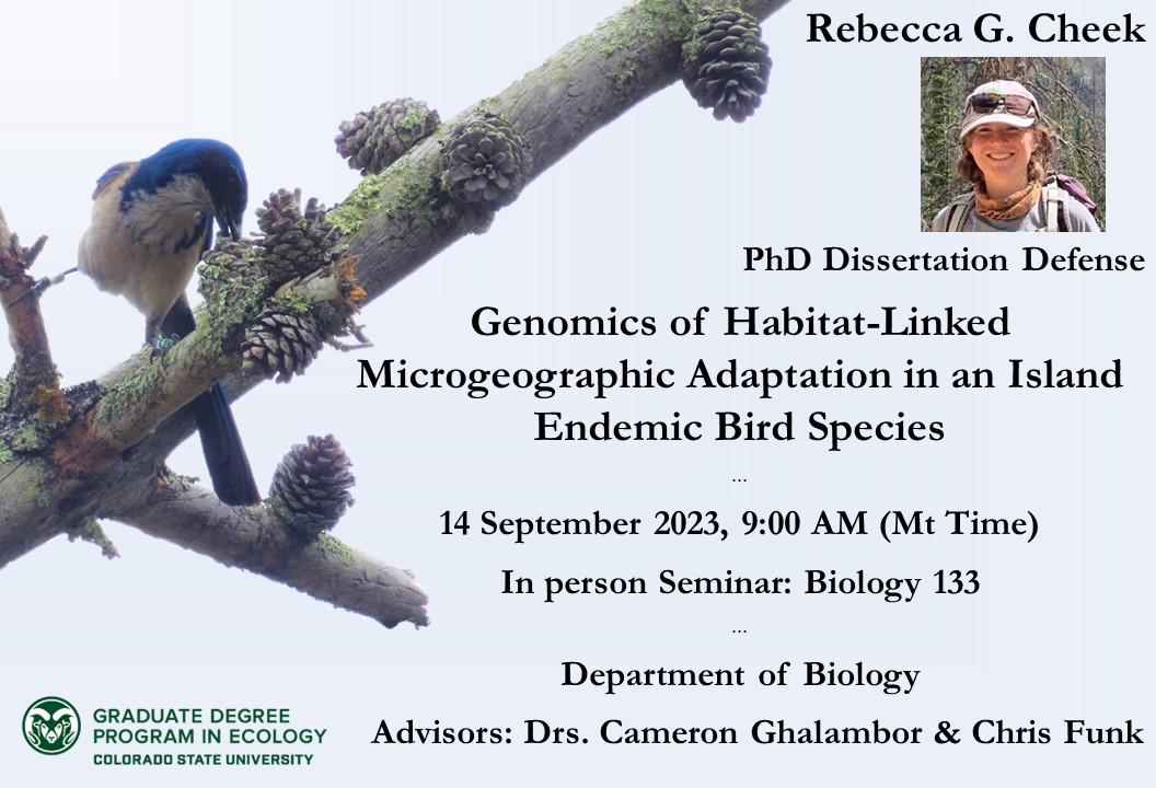 Promotional flyer for Rebecca G. Cheek's PhD Dissertation Defense. Advised by Drs. Cameron Ghalambor and Chris Funk