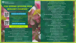 Promotional flyer for Colorado State University's Spring Session 2026 Biology Courses. The background is green with a blurred floral image. The CSU logo appears in the top left corner alongside the title "CSU Spring Session 2026 Biology Courses*". Two QR codes are included with text encouraging students to schedule an appointment with their Academic Success Coordinator and visit the Office of the Registrar. A note at the bottom advises students to check RAMweb for updated course offerings. The flyer lists various biology courses.