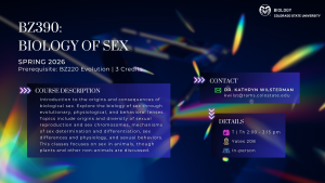 Flyer for BZ390: Biology of Sex at Colorado State University, offered Spring 2026. The flyer includes course details such as meeting times (Tuesdays and Thursdays, 2:00–3:15 pm in Yates 208), prerequisites (BZ220 Evolution), and credit hours (3). It features a course description focused on the biology of sex through evolutionary, physiological, and behavioral perspectives. Contact information for Dr. Kathryn Wilsterman (kwilist@rams.colostate.edu) is provided. The background is dark blue with colorful prismatic light streaks.