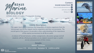 Promotional graphic for Colorado State University course BZ415 “Marine Biology.” Background shows icy ocean scenery with marine life photos on the right, including a dolphin, coral reef, seal, and penguin. Text includes course details: Spring 2026, 4 credits, prerequisite Ecology, in-person, BSB107, lecture Tuesday/Thursday 2:00–3:15 PM, recitation Thursday 3:20–4:10 PM. Instructor: Shane Kanatous, Shane.Kanatous@colostate.edu. Description highlights integration of marine organisms from microscopic to large scale, their environments, and the importance of marine ecosystems to life on Earth.
