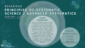 Promotional graphic for Colorado State University courses BZ424/520 titled “Principles of Systematic Science and Advanced Systematics.” Background shows a circular phylogenetic tree diagram with green tones and hexagonal patterns. Text includes course details: Spring 2026, 3 credits, prerequisite BZ220, in-person, Monday/Wednesday/Friday, 8:00–8:50 AM, A/Z E112. Instructor contact: Tanya Dewey, Tanya.Dewey@colostate.edu. Description highlights systematic science, phylogenetic tree building, evolutionary relationships, and use of GenBank data.