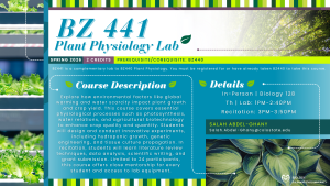 Promotional graphic for Colorado State University course BZ441 titled “Plant Physiology Lab.” Background includes green plant leaves and a bright natural setting. Text includes course details: Spring 2026, 2 credits, prerequisite/corequisite BZ440, in-person, Biology 128, Thursday lab 1:00–2:40 PM, recitation 3:00–3:50 PM. Instructor contact: Salah Abdel-Ghany, Salah.Abdel-Ghany@colostate.edu. Description covers lab activities on photosynthesis, water relations, crop biotechnology, hydroponics, and genetic engineering.