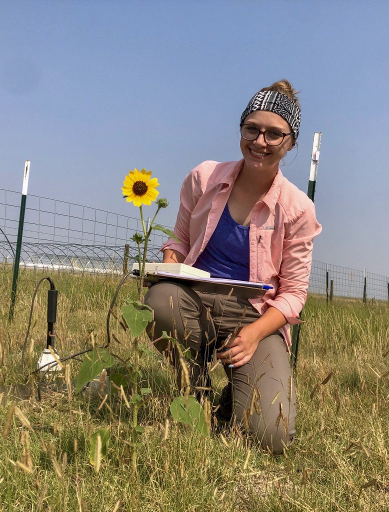 Kathy Condon kneeling in a grassy field taking notes. A sunflower and measuring instrument are nearby.