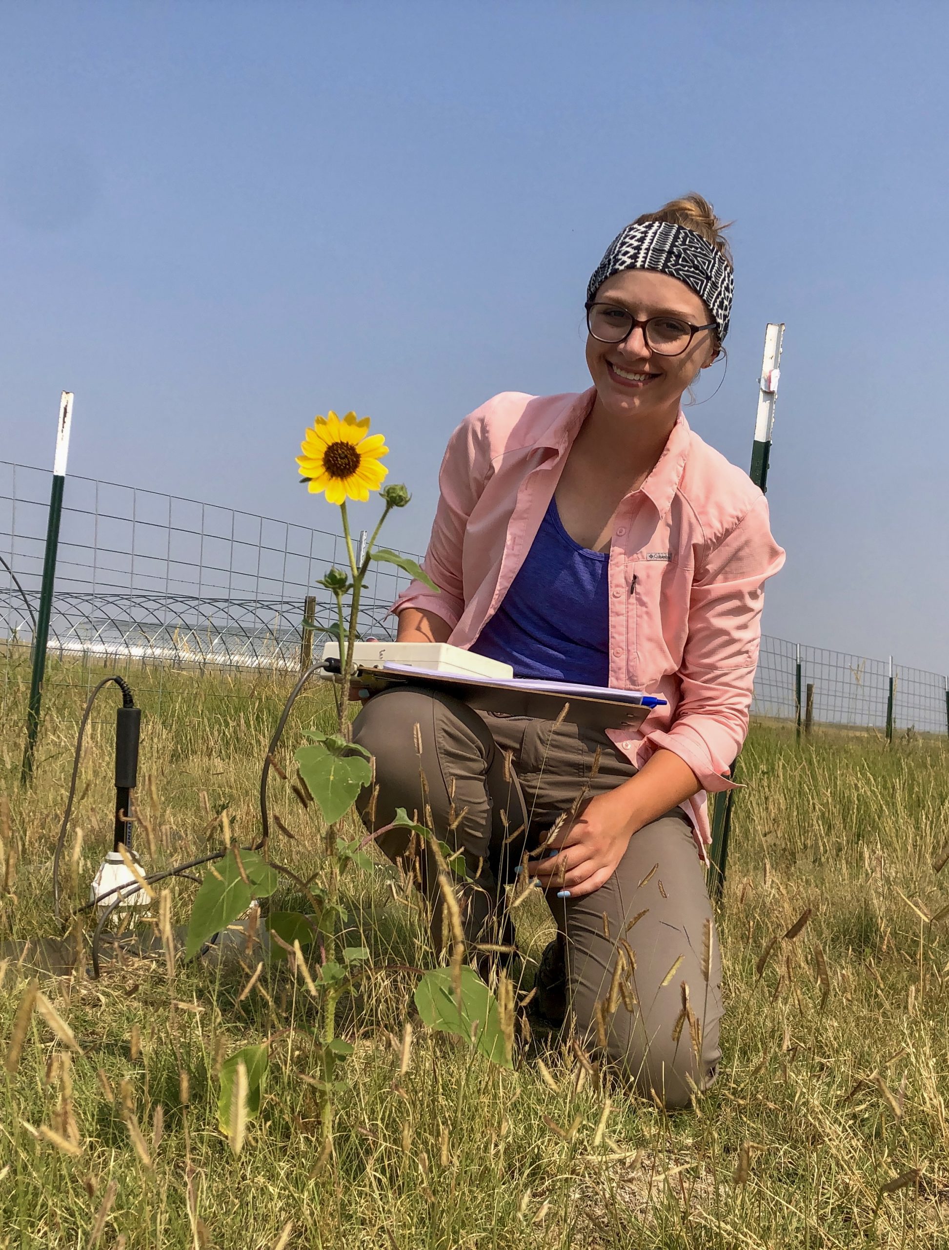 Kathy Condon kneeling in a grassy field taking notes. A sunflower and measuring instrument are nearby.