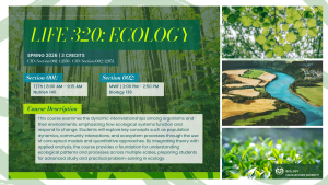 Flyer for CSU course “LIFE 320: Ecology,” Spring 2026, 3 credits. Examines ecological systems, population dynamics, community interactions, and ecosystem processes using models and quantitative approaches. Two sections: T/Th 8:00–9:15 AM (Nutrien 140) and MWF 2:00–2:50 PM (Biology 136).