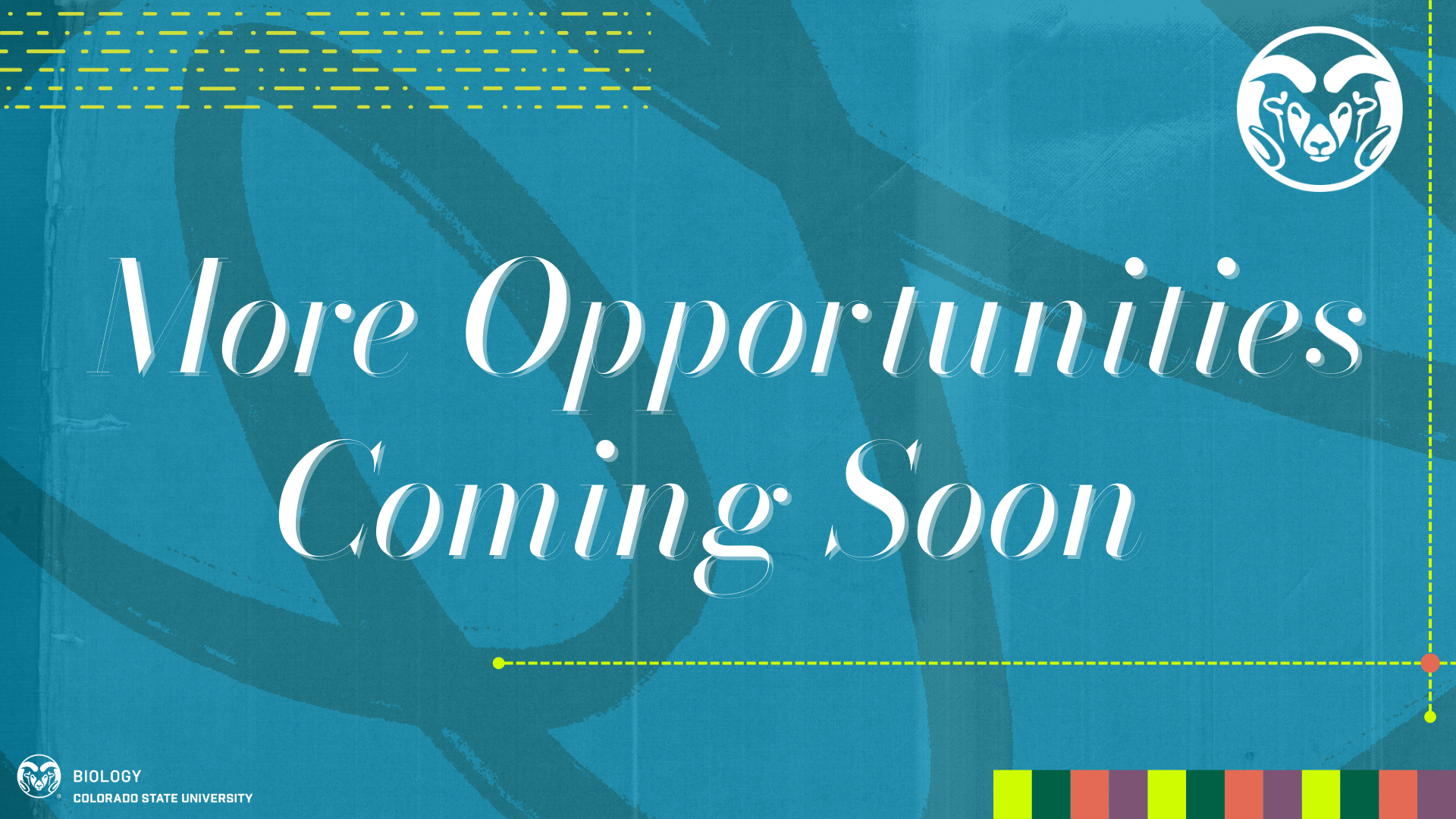 A blue graphic background with abstract circular brushstroke patterns. Large white serif text in the center reads “More Opportunities Coming Soon.” In the top right corner, there is a white circular logo featuring a stylized ram’s head. At the bottom left, the Colorado State University Biology logo appears in white. A colorful horizontal bar with green, yellow, red, and purple segments runs along the bottom right edge. Thin green dotted lines and small yellow dash patterns decorate the design.