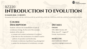 Promotional flyer for BZ220: Introduction to Evolution, a 3-credit online course offered during Summer 2026 at Colorado State University. The course explores fundamental concepts in evolutionary biology, including mechanisms of evolution, speciation, biodiversity, evolutionary hypotheses, and development of evolutionary concepts. Prerequisites include various biology and math courses. The course runs from June 15 to August 9 in an asynchronous format. Instructor: Zach Grochau-Wright, contact at z.grochau-wright@colostate.edu. The design features illustrations of insects, birds, and plants, with the Biology department logo at the top right corner.