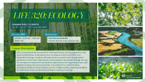 A course flyer for “LIFE 320: Ecology” at Colorado State University. The design includes multiple nature photographs: sunlit green leaves, a forest with tall tree trunks, a landscape of a winding river bordered by agricultural fields, and small sprouting plants with dew. Overlaid text provides course information for Summer 2026, including meeting times, instructor name and email, and a detailed course description about ecological systems and processes. The CSU Biology logo appears in the bottom right corner.