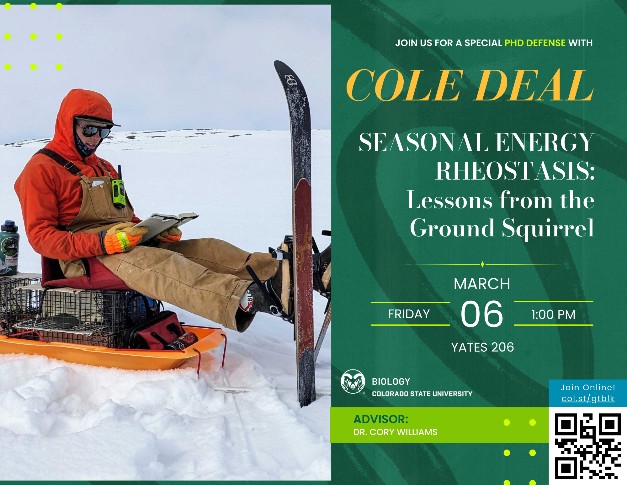 A promotional graphic for Cole Deal's PhD defense. On the left, CSU Biology grad student, Cole Deal, is dressed in winter gear and sitting on an orange sled while reading a book on a snowy landscape, with skis propped upright beside them. On the right, a green and gold announcement reads: “Join us for a special PhD defense with Cole Deal. Seasonal Energy Rheostasis: Lessons from the Ground Squirrel. Friday, March 6, 1:00 PM, Yates 206.” The CSU Biology logo is included along with “Advisor: Dr. Cory Williams,” a QR code for online access, and meeting details.
