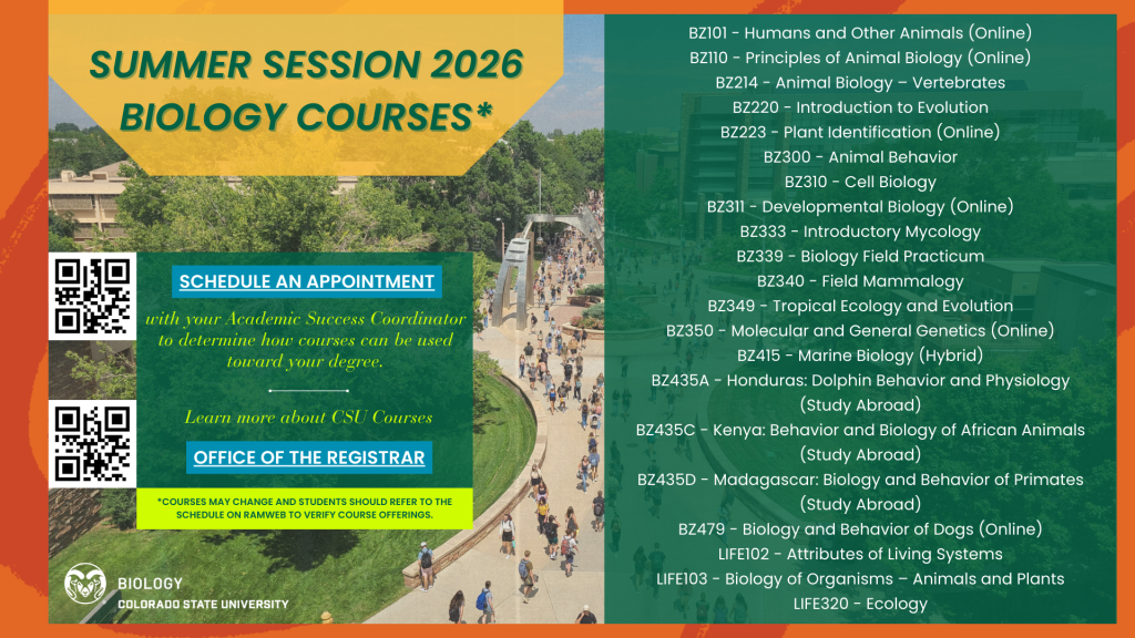 Promotional graphic for “Summer Session 2026 Biology Courses” from Colorado State University’s Biology Department. The left side features a green box with QR codes and text encouraging students to schedule an appointment with an Academic Success Coordinator and to visit the Office of the Registrar for more course information. Behind the box is a campus photo showing students walking across the CSU pedestrian bridge. The right side lists available Summer 2026 biology courses, including online, on‑campus, field, and study abroad options such as Humans and Other Animals, Principles of Animal Biology, Vertebrates, Introduction to Evolution, Plant Identification, Animal Behavior, Cell Biology, Developmental Biology, Mycology, Biology Field Practicum, Tropical Ecology, Molecular and General Genetics, Marine Biology, and several study abroad courses in Honduras, Kenya, Madagascar, and more. CSU Biology and Colorado State University logos appear at the bottom left. The design features orange and green branding elements.
