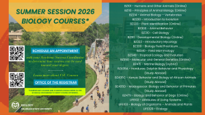 Promotional graphic for “Summer Session 2026 Biology Courses” from Colorado State University’s Biology Department. The left side features a green box with QR codes and text encouraging students to schedule an appointment with an Academic Success Coordinator and to visit the Office of the Registrar for more course information. Behind the box is a campus photo showing students walking across the CSU pedestrian bridge. The right side lists available Summer 2026 biology courses, including online, on‑campus, field, and study abroad options such as Humans and Other Animals, Principles of Animal Biology, Vertebrates, Introduction to Evolution, Plant Identification, Animal Behavior, Cell Biology, Developmental Biology, Mycology, Biology Field Practicum, Tropical Ecology, Molecular and General Genetics, Marine Biology, and several study abroad courses in Honduras, Kenya, Madagascar, and more. CSU Biology and Colorado State University logos appear at the bottom left. The design features orange and green branding elements.