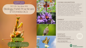 A promotional flyer for BZ 339 Section 001 Biology Field Practicum: Entomology, a summer 2026 course at Colorado State University. The course runs June 15 through July 12 and offers 3 credits. The description highlights hands-on learning in insect ecology, field methodologies, experimental design, and insect collection curation. Students will complete a research proposal and curated insect collection. The flyer includes prerequisites, course format details, and contact information for instructors Levi Burdine, Christian Gutierrez, and Kyle Ruszkowski. The design features images of insects, including a praying mantis, dragonfly, ladybug, beetle, and butterfly.