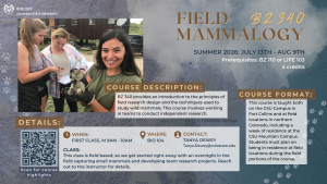 A visually engaging flyer for BZ340: Field Mammalogy in Summer 2026. The background features a map of Colorado overlaid with paw prints, and the main image shows students interacting with a small mammal during fieldwork. The course description emphasizes learning field research design and techniques for studying wild mammals, including team-based independent research. The format includes both on-campus and field-based learning, with a week at the CSU Mountain Campus. Details include the first class time (Monday, 9–10 AM), location (Bio 104), and contact for Tanya Dewey. A QR code is included for course highlights.