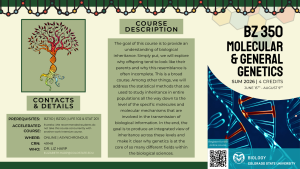 A promotional flyer for BZ 350 Molecular and General Genetics, a summer 2026 course at Colorado State University. The course runs June 15 through August 9 and offers 4 credits. The description highlights the exploration of biological inheritance, including why offspring resemble their parents and the molecular mechanisms behind inheritance. Statistical methods, molecular processes, and their applications across biological sciences are covered. The flyer includes prerequisites, details about the accelerated format, and contact information for Dr. Liz Harp. A DNA tree illustration and a DNA double helix image are featured alongside the CSU Biology logo.