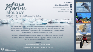 A stunning flyer for BZ415: Marine Biology in Summer 2026, featuring images of marine life, including dolphins, coral reefs, seals, and penguins. The background showcases an icy ocean landscape, reflecting the course’s focus on marine ecosystems. The description highlights the integration of marine organisms and their environments, emphasizing the importance of marine ecosystems to life on Earth. Students will engage in lectures, discussions, and a final presentation on research or public service topics. Details include the lecture format (online and in-person) and recitation time (Thursdays, 12:00–12:50 PM, Bio 133). Contact information for Dr. Shane Kanatous is provided alongside a QR code for more details.