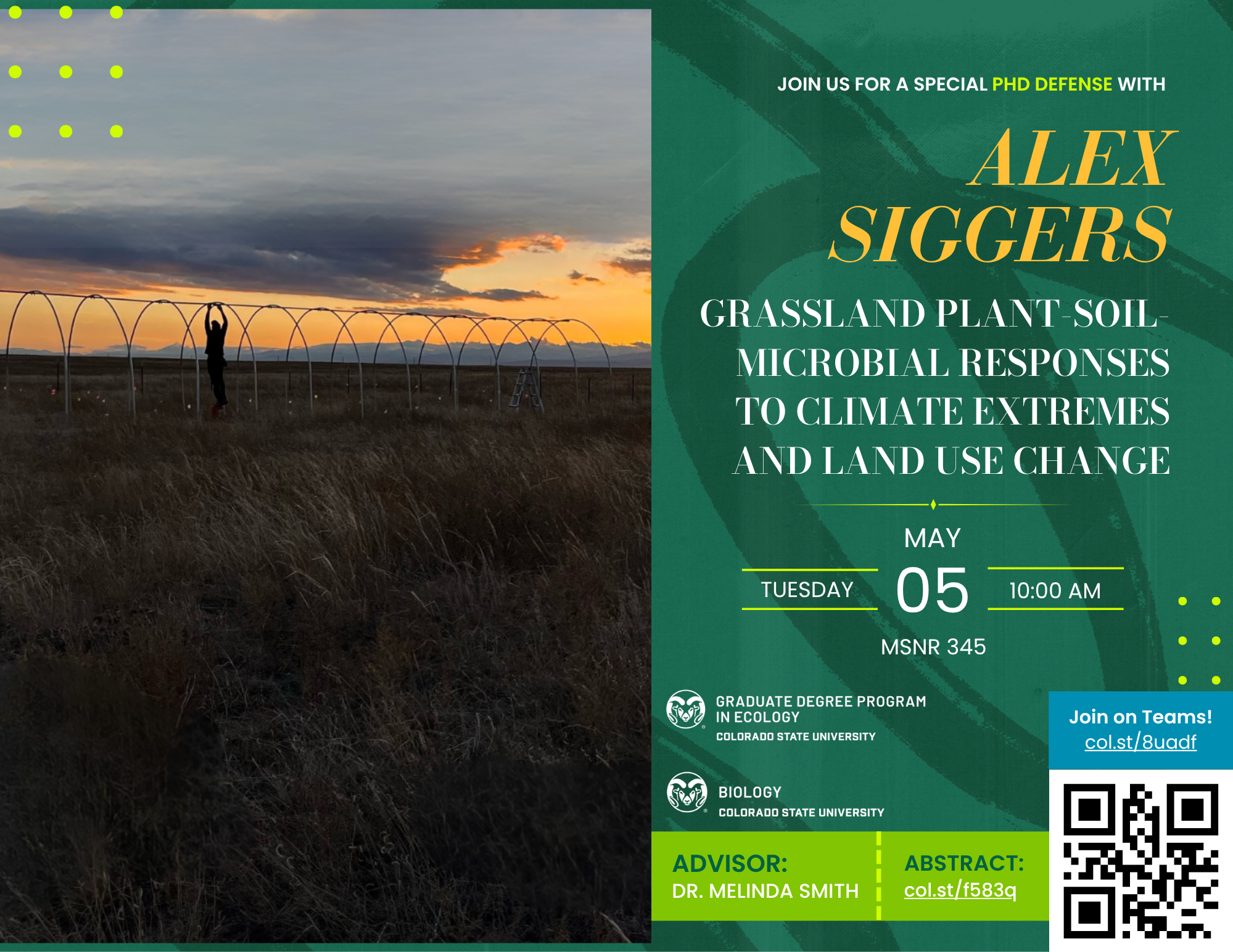 A promotional flyer for Alex Siggers’ PhD Defense Seminar. The background features a sunset over a grassy field with a person standing under a metal hoop structure. The text reads: "Join us for a special PhD Defense with Alex Siggers. Grassland Plant-Soil-Microbial Responses to Climate Extremes and Land Use Change. Tuesday, May 5, 10:00 AM, MSNR 345." Logos for the Graduate Degree Program in Ecology and CSU Biology are displayed. The flyer includes links for joining the seminar online via Teams (col.st/8uadf) and accessing the abstract (col.st/f583q). Advisor: Dr. Melinda Smith.