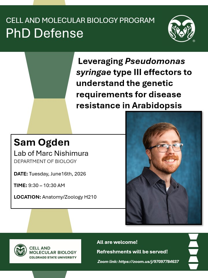 A green and white graphic announces a PhD defense seminar for Sam Ogden, a graduate student in the Cell and Molecular Biology Program at Colorado State University. The seminar title is "Leveraging Pseudomonas syringae Type III Effectors to Understand the Genetic Requirements for Disease Resistance in Arabidopsis." The event will take place on Tuesday, June 16, 2026, from 9:30–10:30 AM in Anatomy/Zoology H210. A photo of Sam Ogden is included in the lower right corner, showing him wearing a dark shirt against a blue background. The flyer features the CSU logo and states that refreshments will be served. A Zoom link is provided for online attendance.
