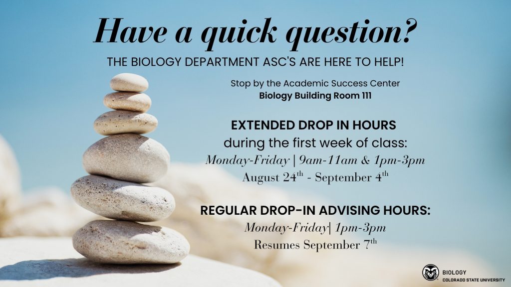 fa26-asc-extended-drop-in-hours-169 Promotional advising flyer with a calming blue background and a stack of balanced stones, using a zen-like visual to suggest support, stability, and approachability. The design highlights that Biology Department Academic Success Center staff are available for student questions and emphasizes both extended early-semester drop-in hours and regular advising availability, making the flyer useful for helping students find academic support during the start of the term.